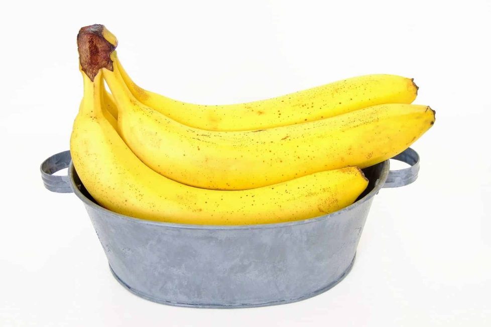 El Proyecto Scratch de los Viernes (XXI): el lanza-bananas El Proyecto Scratch de los Viernes (XXI): el lanza-bananas 5