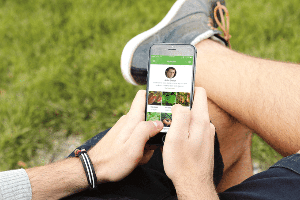 PlantSnap: una app para identificar plantas, árboles y flores a tu alrededor PlantSnap: una app para identificar plantas, árboles y flores a tu alrededor 2