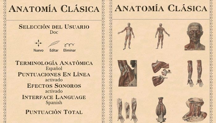 Anatomía Clásica El Cuerpo Humano 