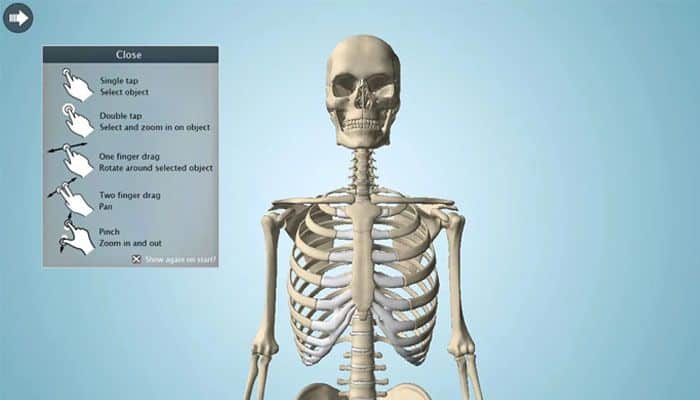 el cuerpo humano mejores apps