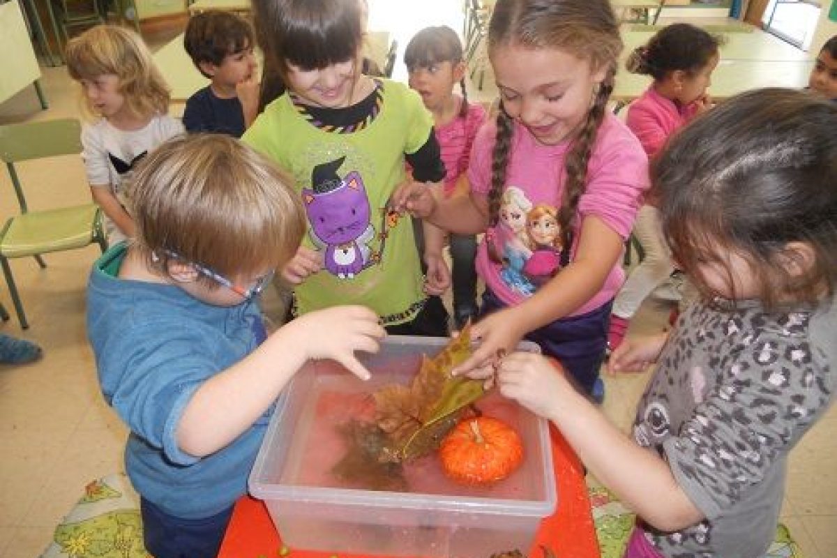 Aprender Ciencias en inglés a través del método científico