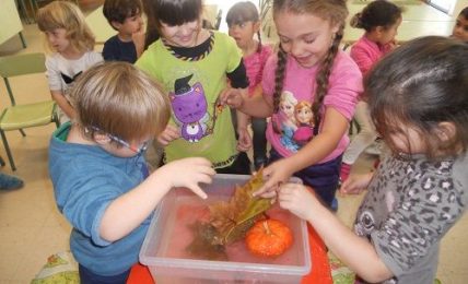 Aprender Ciencias en inglés a través del método científico