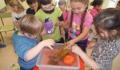 Aprender Ciencias en inglés a través del método científico