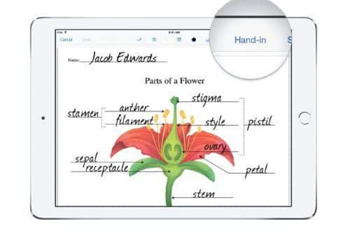 Plataformas a medida de los proyectos one to one con iPad 2