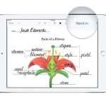 Plataformas a medida de los proyectos one to one con iPad 2