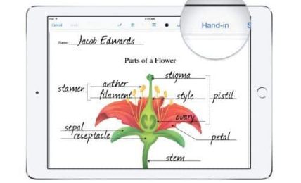 Plataformas a medida de los proyectos one to one con iPad 2