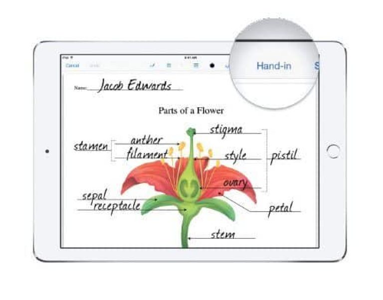 Plataformas a medida de los proyectos one to one con iPad 2