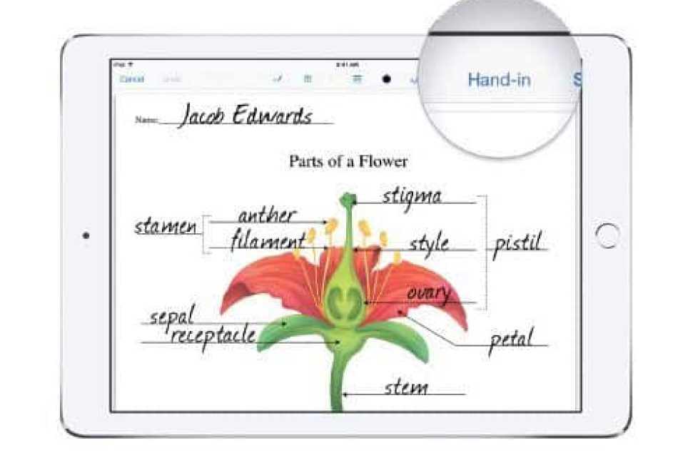 Plataformas a medida de los proyectos one to one con iPad 2