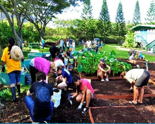 Curso Aprendizaje Servicio (ApS) niños en el campo