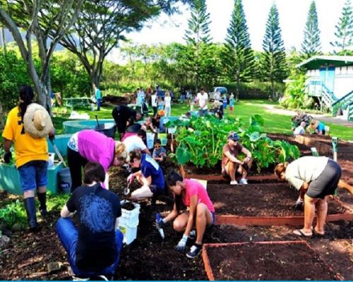 Curso Aprendizaje Servicio (Aps) Niños En El Campo