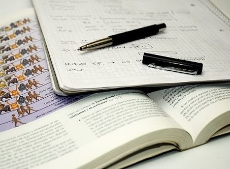 student 732012 640