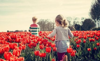 Rutas científicas, artísticas y literarias para esta primavera 2