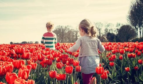 Rutas científicas, artísticas y literarias para esta primavera 2