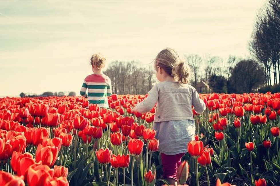 Rutas científicas, artísticas y literarias para esta primavera Rutas científicas, artísticas y literarias para esta primavera 2
