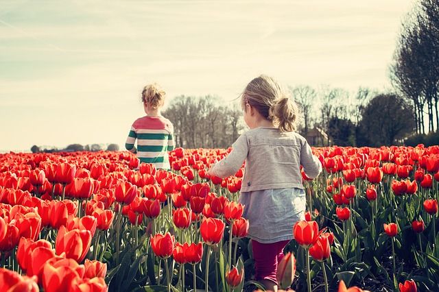 Rutas Científicas, Artísticas Y Literarias Para Esta Primavera 2