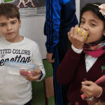 Inculcar hábitos saludables en Educación Física a través de la gamificación 3