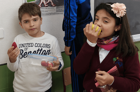 Inculcar Hábitos Saludables En Educación Física A Través De La Gamificación 3