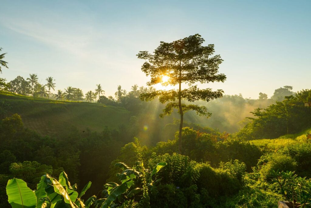 naturaleza fechas clave de abril