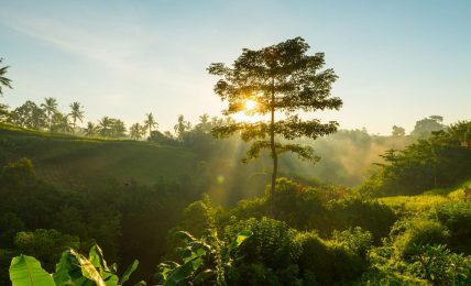 naturaleza