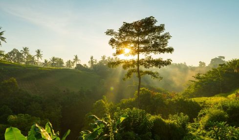 Naturaleza