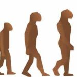 ‘¿Venimos del mono?’, un proyecto que estudia la evolución humana en Primaria 1