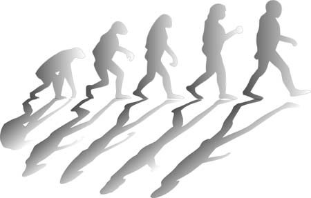 Evolucion Humana 3