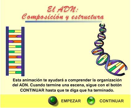 Día Mundial del ADN 