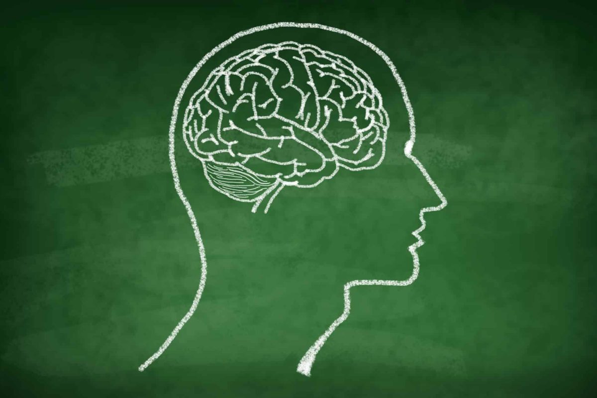 Así puedes potenciar la capacidad cerebral de tus alumnos e hijos Así puedes potenciar la capacidad cerebral de tus alumnos e hijos 1