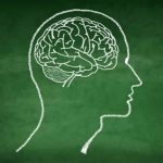 Así puedes potenciar la capacidad cerebral de tus alumnos e hijos 1