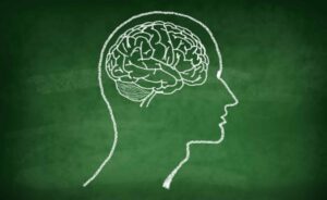 cerebro