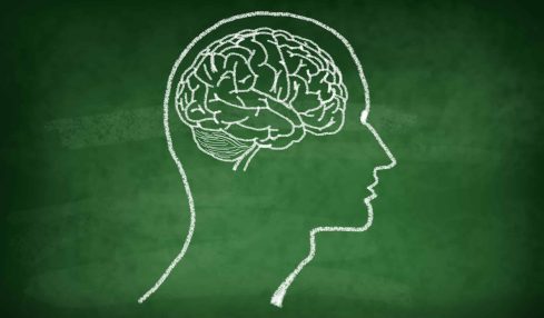 Así puedes potenciar la capacidad cerebral de tus alumnos e hijos 1