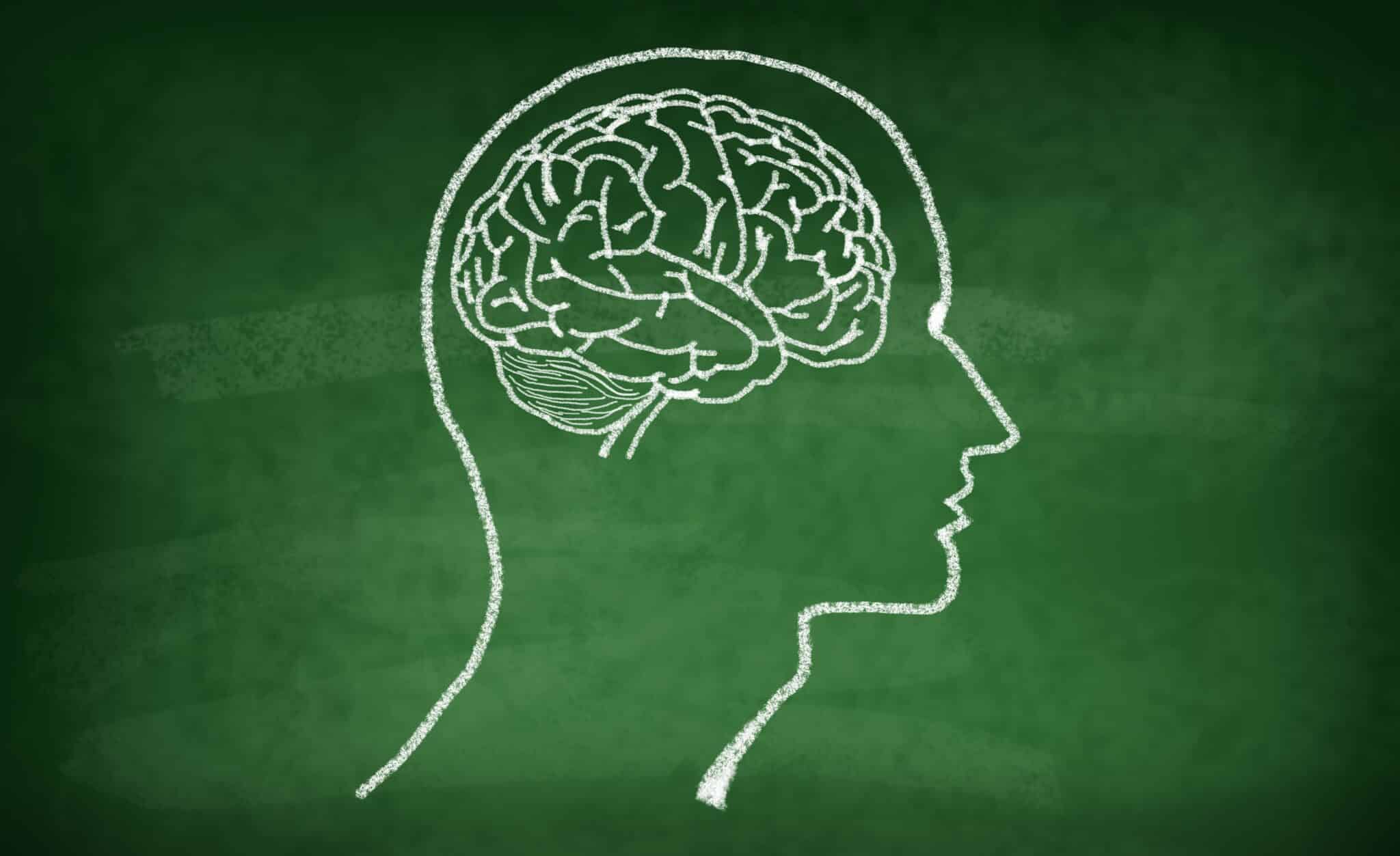 Así puedes potenciar la capacidad cerebral de tus alumnos e hijos 1