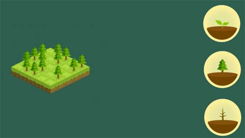 Aplicación Forest- técnicas de estudio