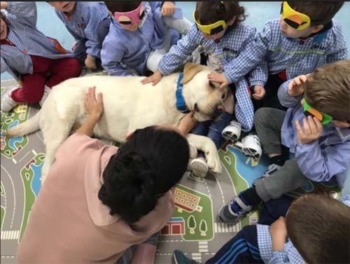 Buenas prácticas TIC en Infantil