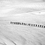 Pautas para conducir con éxito una dinámica grupal 1