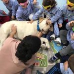 Educación emocional asistida con perro en escuelas infantiles 1