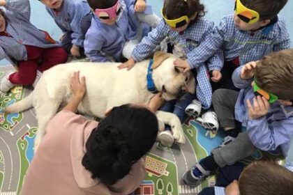 Educación emocional asistida con perro en escuelas infantiles 1