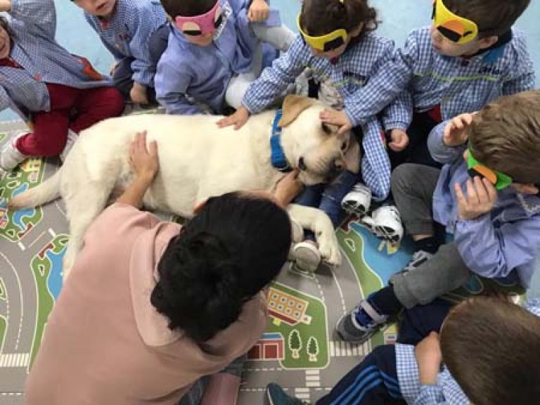 Educación emocional asistida con perro en escuelas infantiles 1
