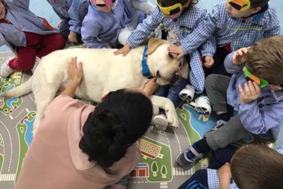 Educación emocional asistida con perro en escuelas infantiles Educación emocional asistida con perro en escuelas infantiles 1