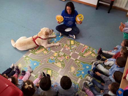 Educacion Emocional Asistida Perros 2