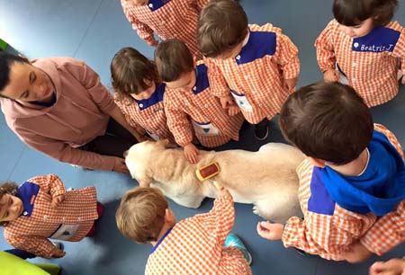 educacion emocional asistida perros 3