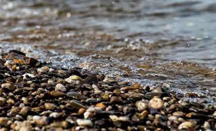 Aprendizaje Servicio con la experiencia ¡Amig@s del río! 1