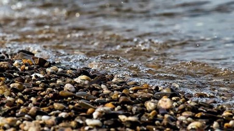 Aprendizaje Servicio con la experiencia ¡Amig@s del río! 1