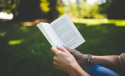 Lecturas para docentes en vacaciones