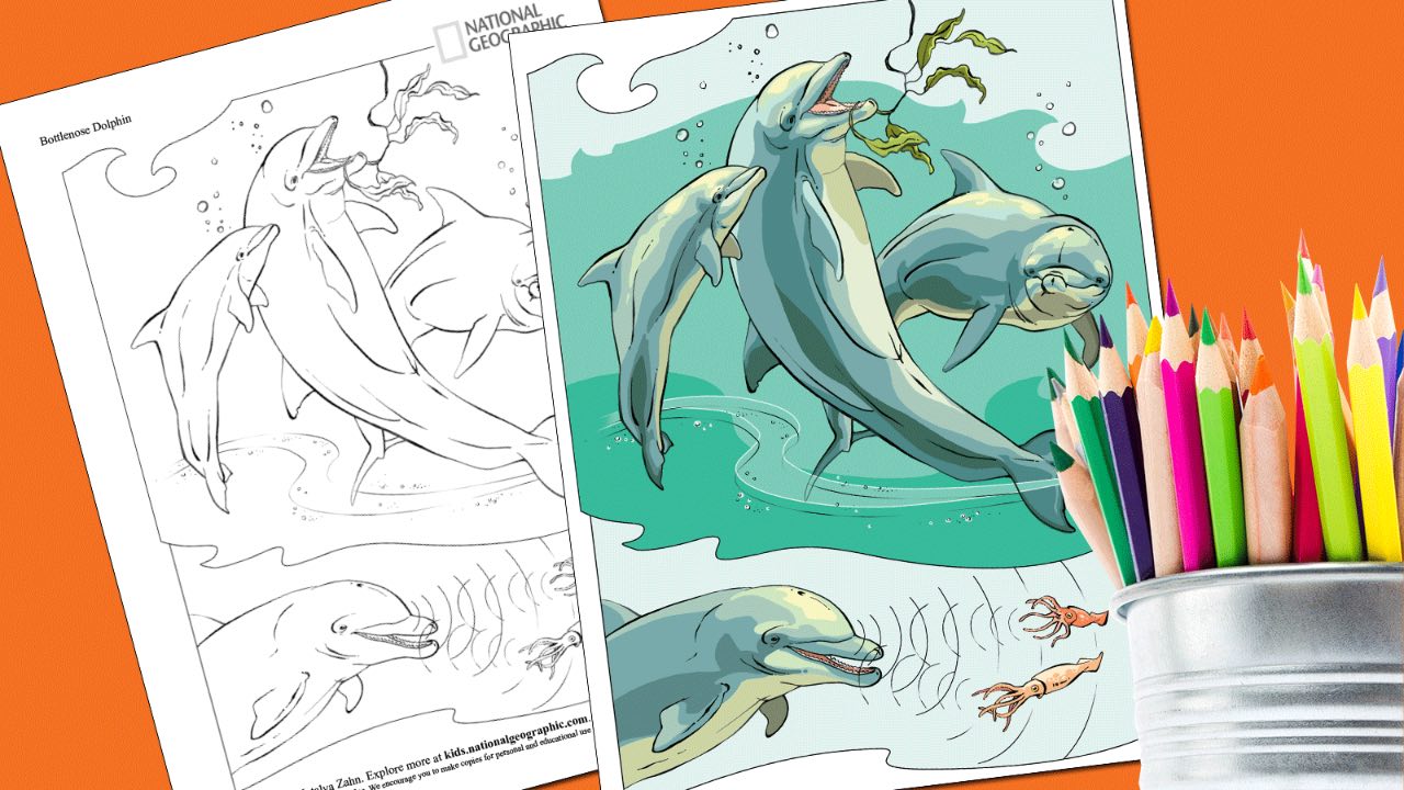 National Geographic Kids plantillas para colorear