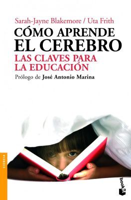 Cómo aprende el cerebro: las claves para la educación