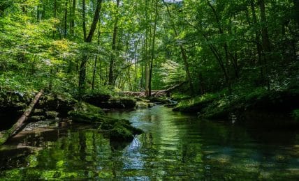 Ciencias de la Naturaleza para Secundaria