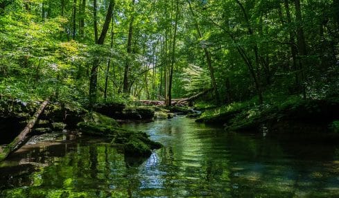 Ciencias de la Naturaleza para Secundaria