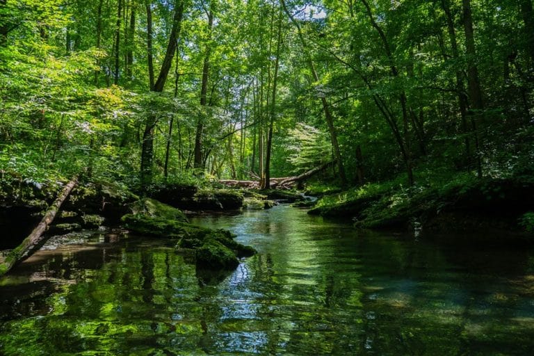 Ciencias de la Naturaleza para Secundaria