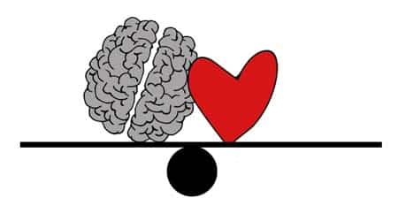 NEUROCIENCIA AFECTIVA